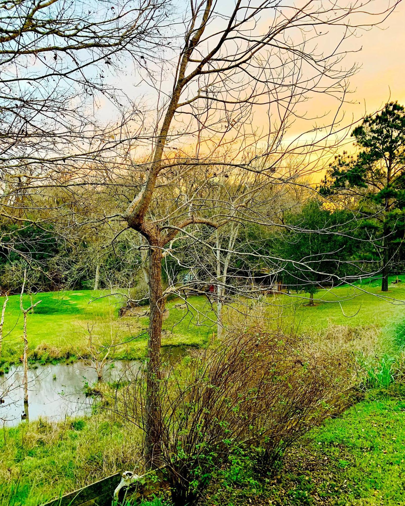 Circa 1900 - Historic - Romantic - Private - Pond - Fenced Yard - The Cottage At Chappell Hill Εξωτερικό φωτογραφία